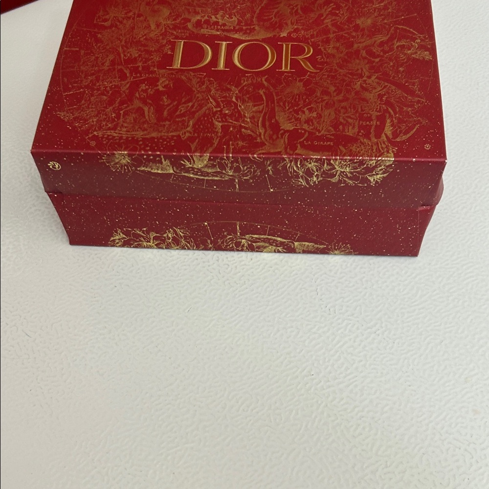 Dior Luxurious Red and Gold thick 2 bags - Picture 4 of 9